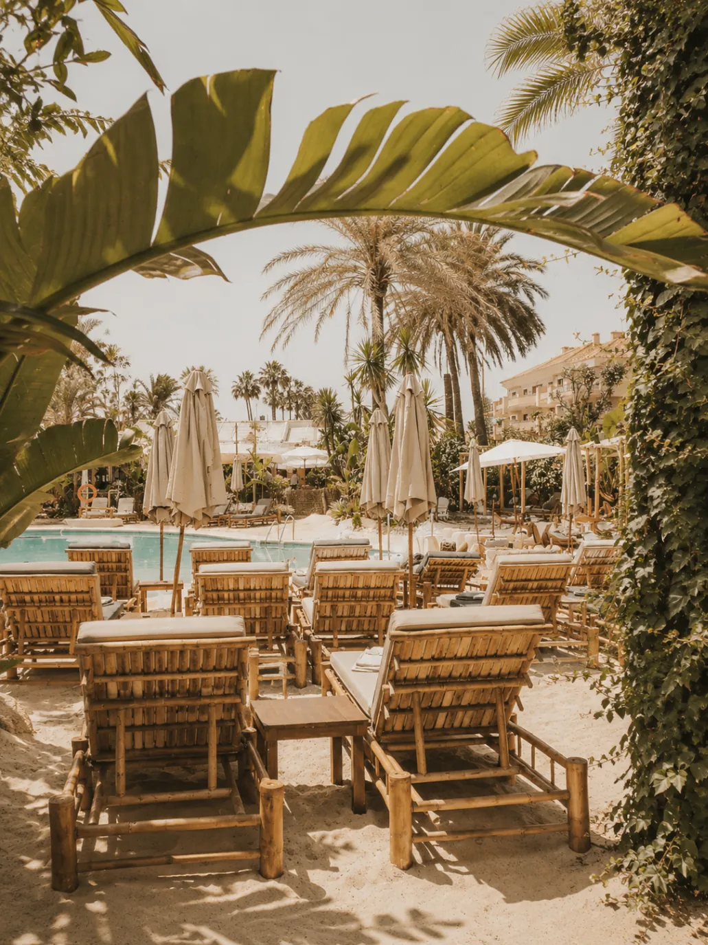 Front-row sunbeds and parasols along the pool deck at Ammo Beach Marbella
