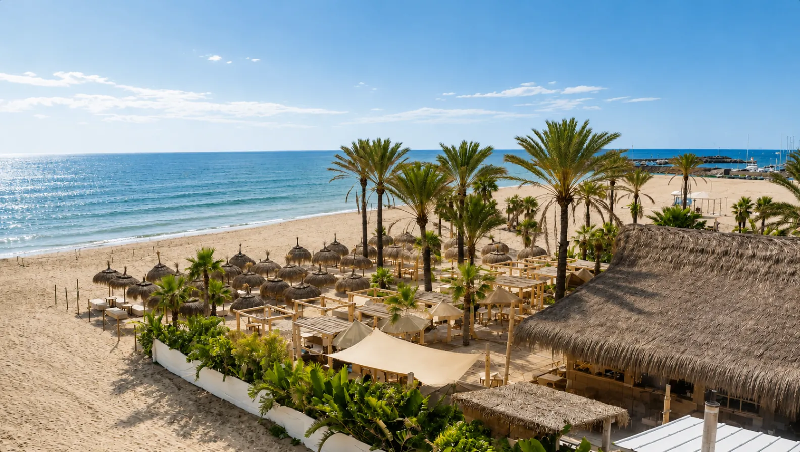 Playa Padre Marbella overview with palms, sand, beach setup and sea along Marbella's shoreline