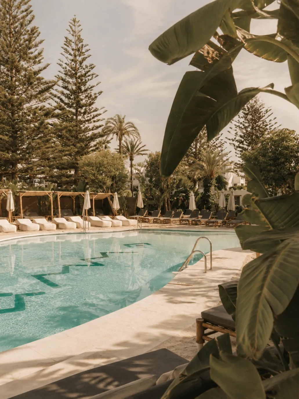 Main pool at Ammo Beach Marbella, framed by palms and parasols on the Golden Mile