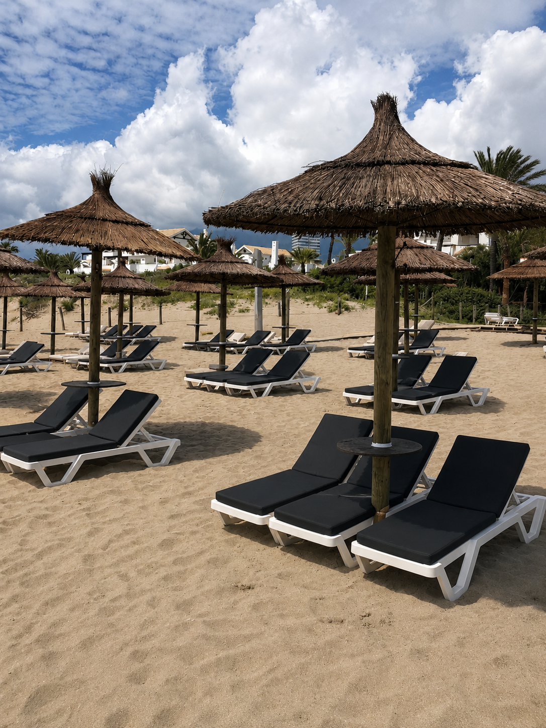 Palm Beach Marbella photo 4