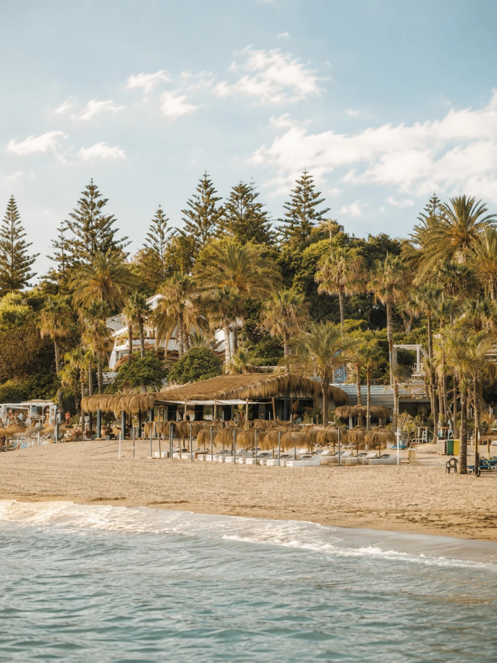 Sea-facing terrace view at La Milla Marbella with tables set beside the shoreline
